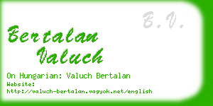 bertalan valuch business card